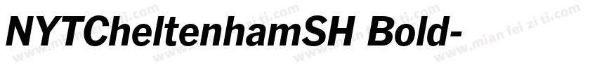 NYTCheltenhamSH Bold字体转换